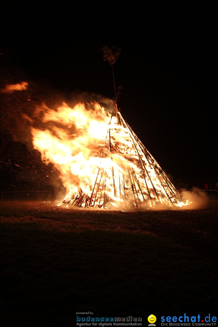 Funkenfeuer Fasnet - Ursaul bei Stockach am Bodensee, 09.03.2014