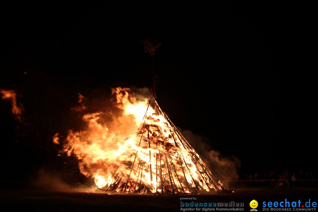 Funkenfeuer Fasnet - Ursaul bei Stockach am Bodensee, 09.03.2014