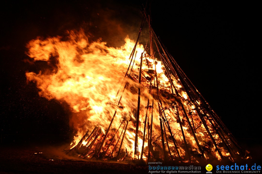 Funkenfeuer Fasnet - Ursaul bei Stockach am Bodensee, 09.03.2014