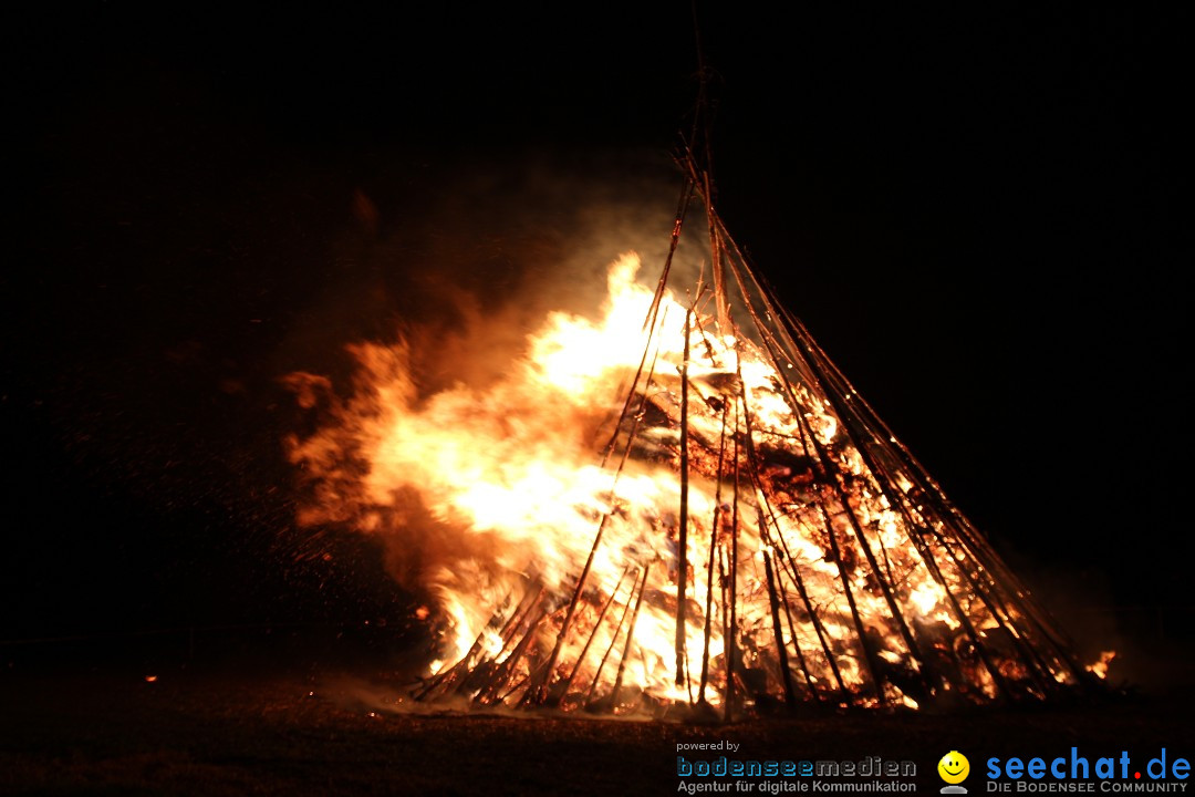 Funkenfeuer Fasnet - Ursaul bei Stockach am Bodensee, 09.03.2014