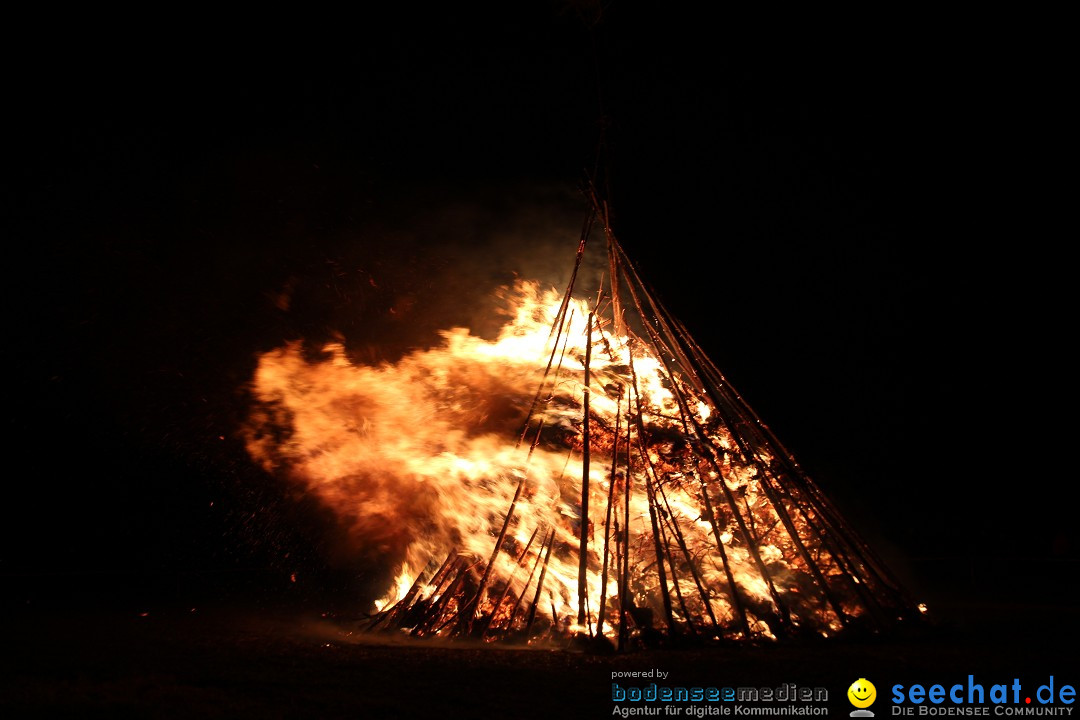 Funkenfeuer Fasnet - Ursaul bei Stockach am Bodensee, 09.03.2014