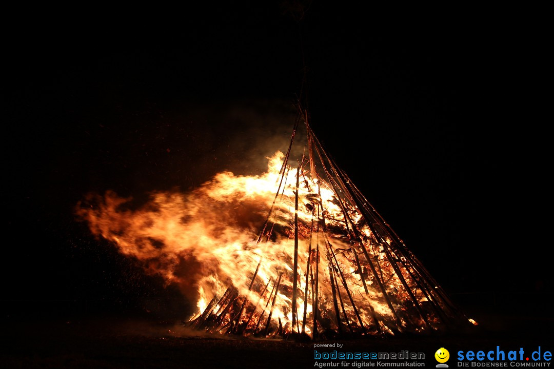 Funkenfeuer Fasnet - Ursaul bei Stockach am Bodensee, 09.03.2014