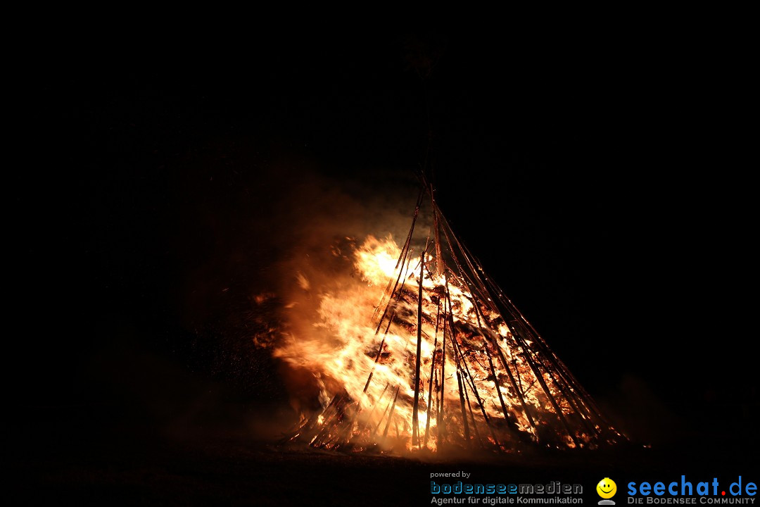 Funkenfeuer Fasnet - Ursaul bei Stockach am Bodensee, 09.03.2014