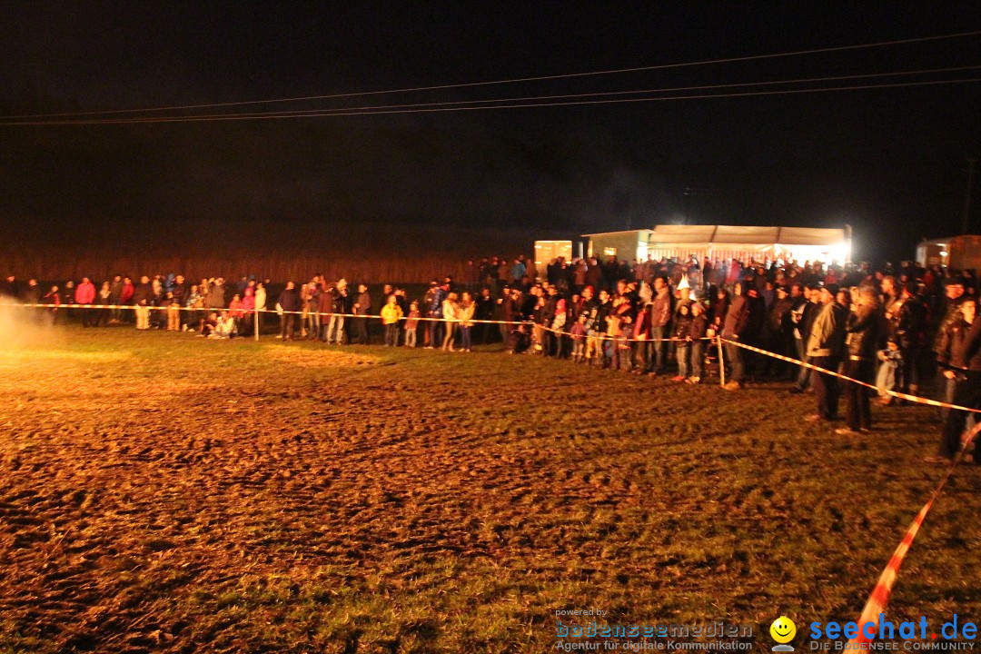 Funkenfeuer Fasnet - Ursaul bei Stockach am Bodensee, 09.03.2014