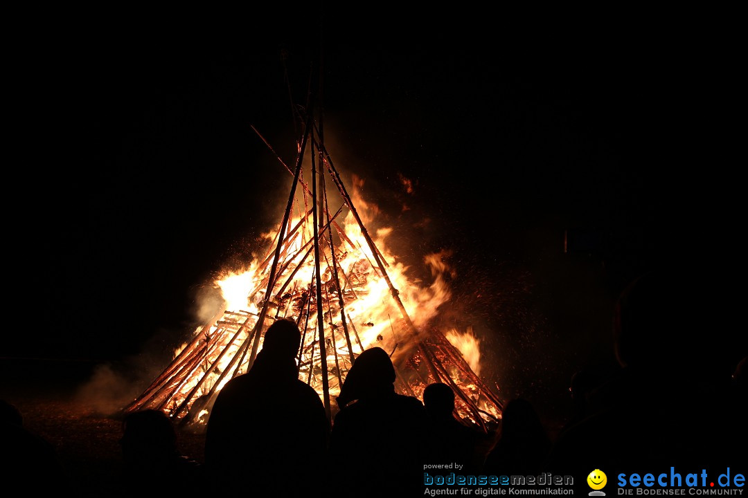 Funkenfeuer Fasnet - Ursaul bei Stockach am Bodensee, 09.03.2014