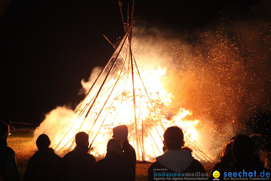 Funkenfeuer Fasnet - Ursaul bei Stockach am Bodensee, 09.03.2014