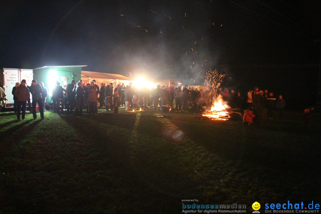 Funkenfeuer Fasnet - Ursaul bei Stockach am Bodensee, 09.03.2014