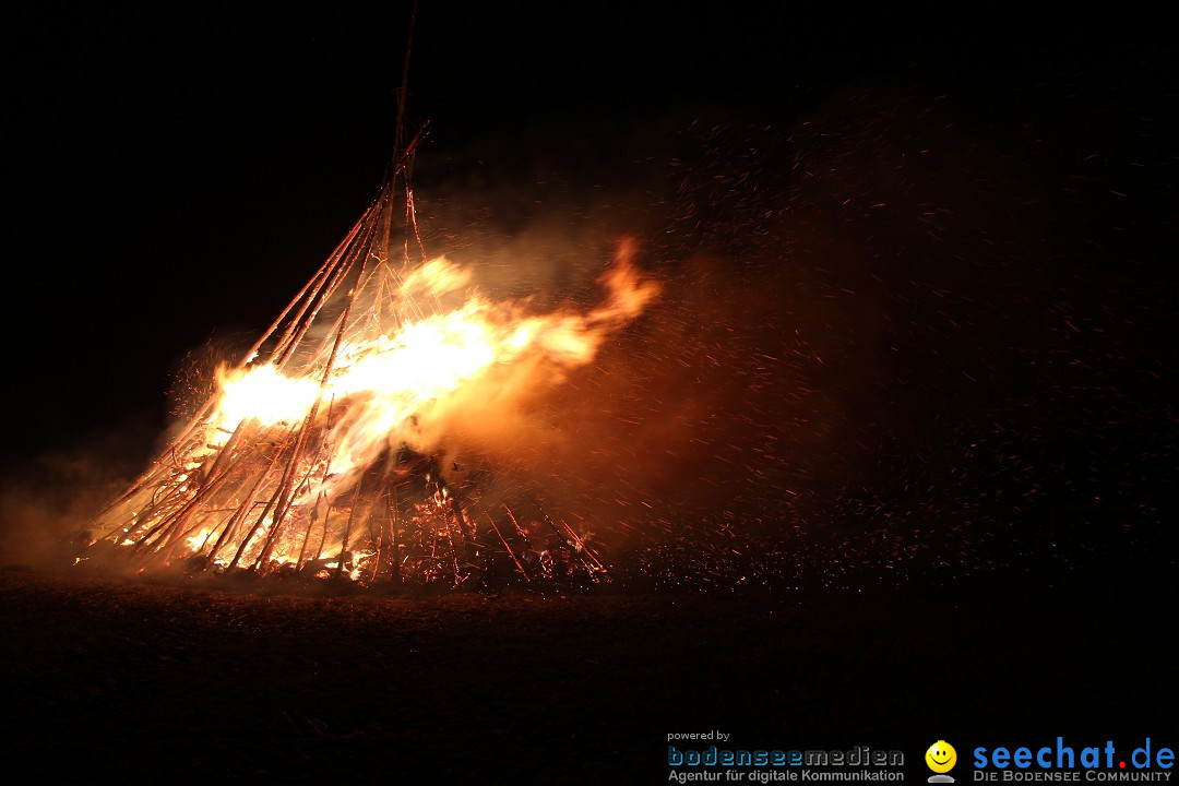 Funkenfeuer Fasnet - Ursaul bei Stockach am Bodensee, 09.03.2014