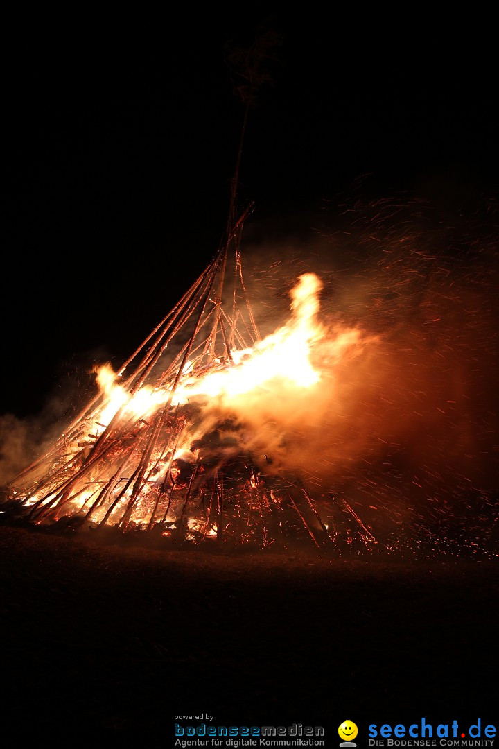 Funkenfeuer Fasnet - Ursaul bei Stockach am Bodensee, 09.03.2014