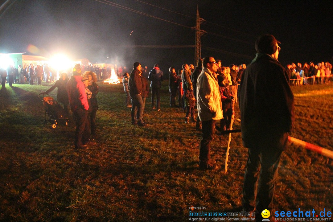 Funkenfeuer Fasnet - Ursaul bei Stockach am Bodensee, 09.03.2014