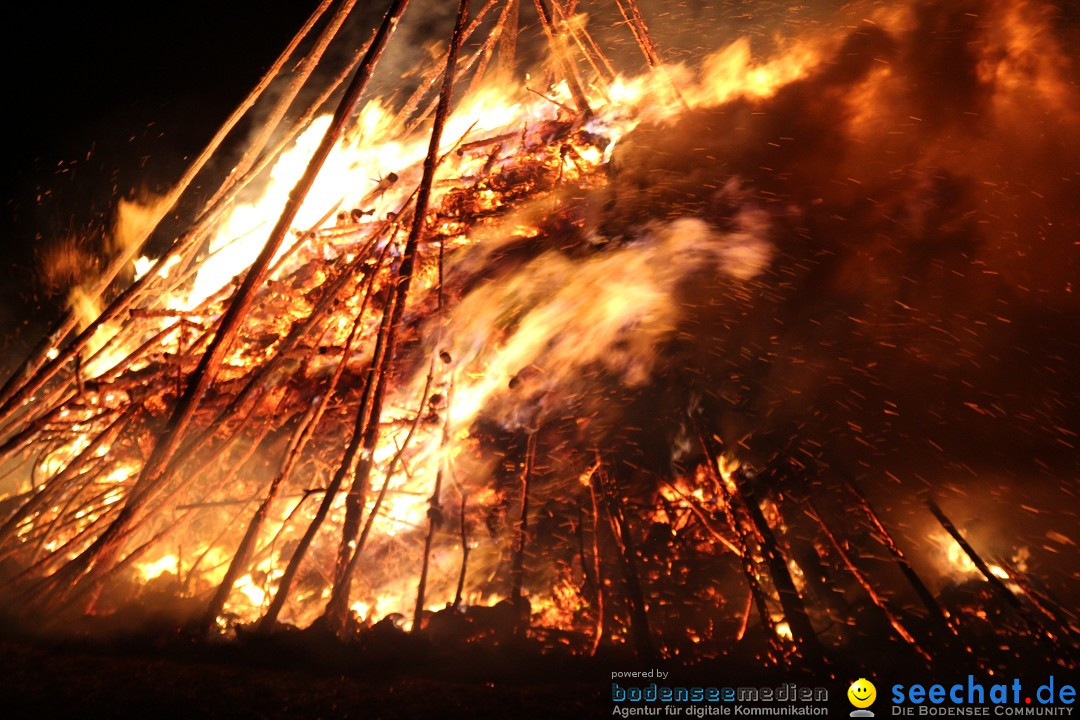 Funkenfeuer Fasnet - Ursaul bei Stockach am Bodensee, 09.03.2014