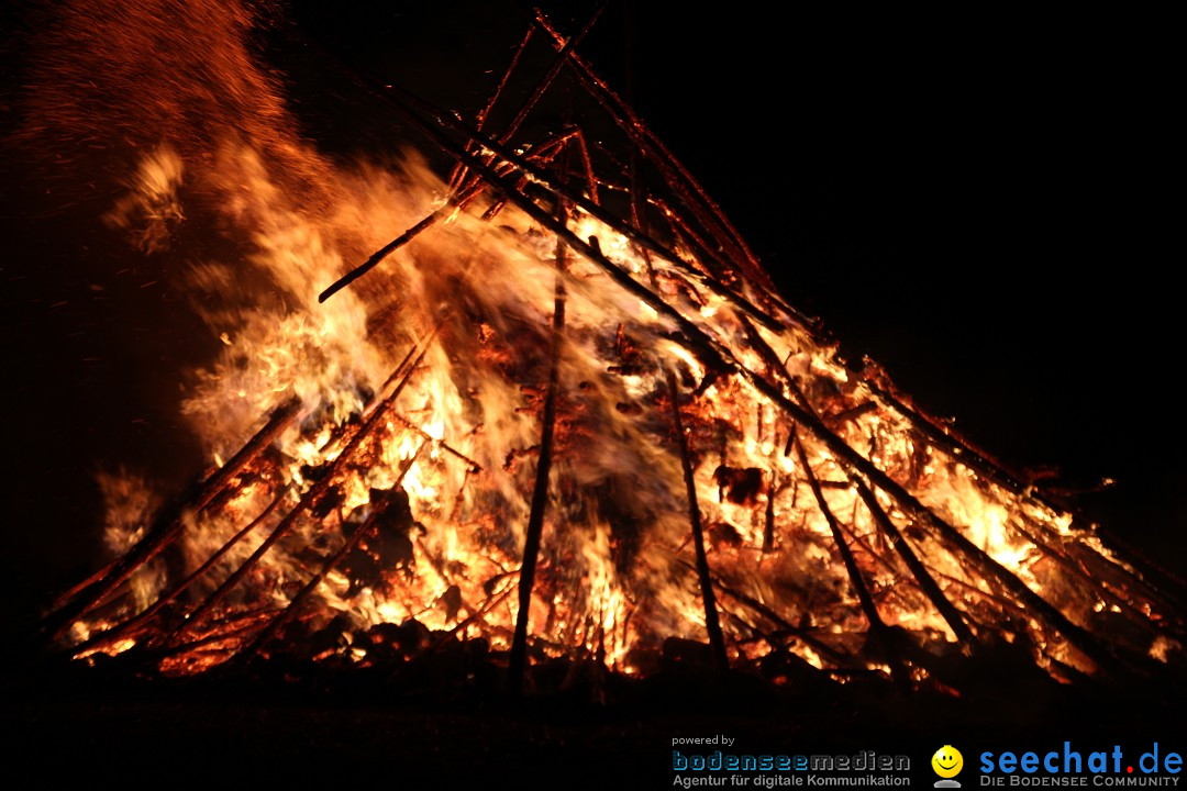 Funkenfeuer Fasnet - Ursaul bei Stockach am Bodensee, 09.03.2014