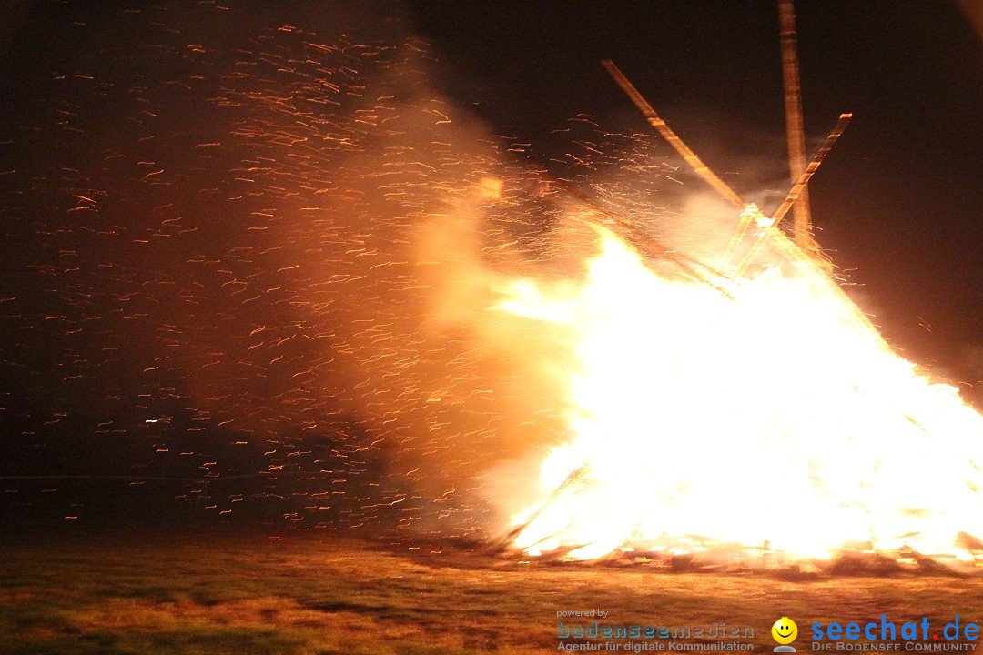 Funkenfeuer Fasnet - Ursaul bei Stockach am Bodensee, 09.03.2014