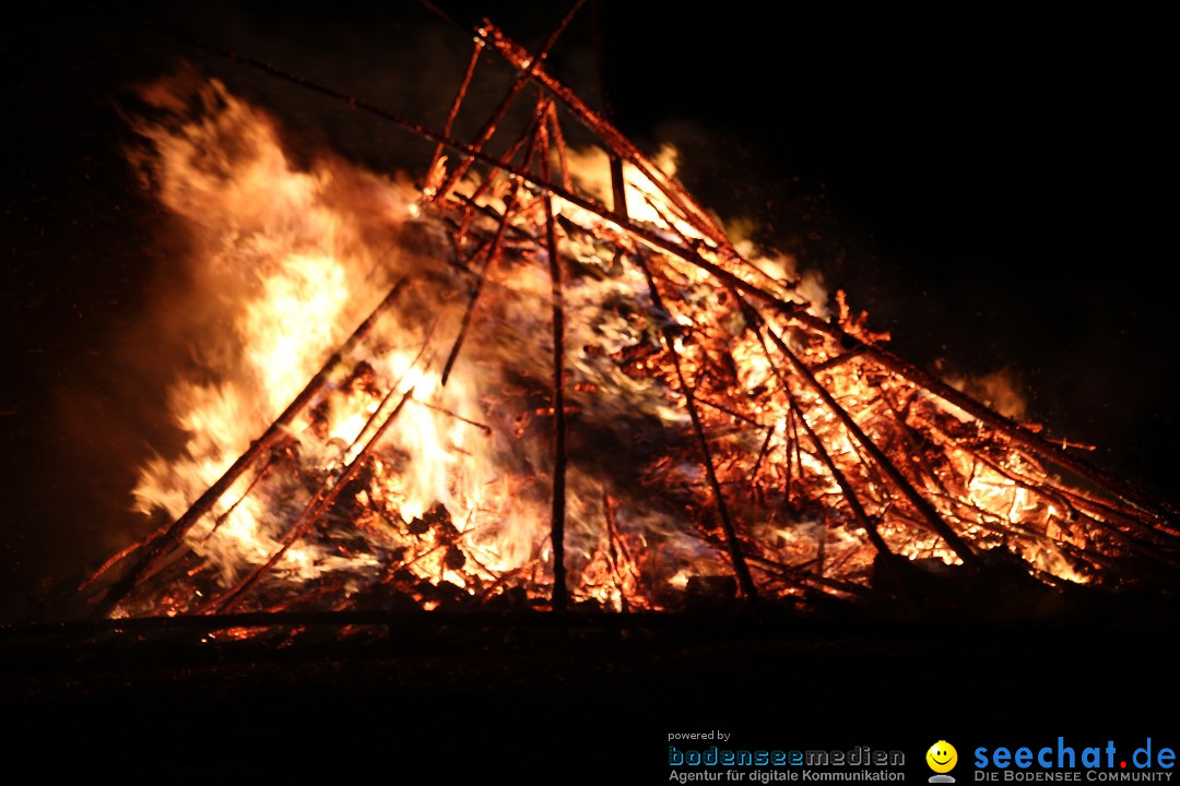 Funkenfeuer Fasnet - Ursaul bei Stockach am Bodensee, 09.03.2014