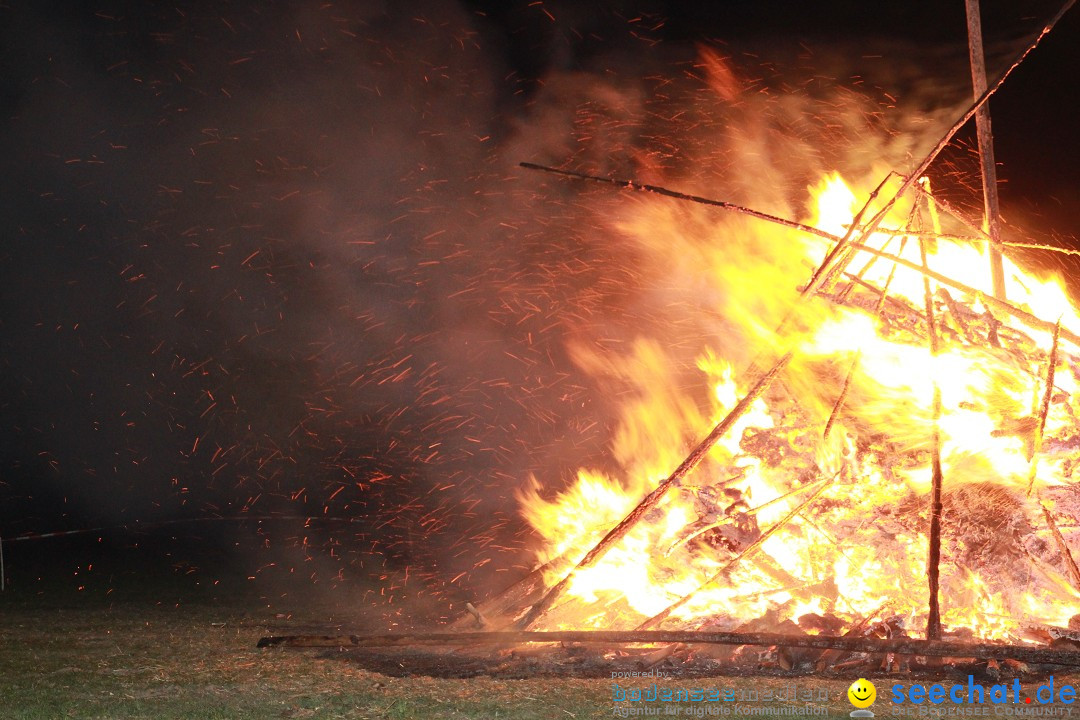 Funkenfeuer Fasnet - Ursaul bei Stockach am Bodensee, 09.03.2014