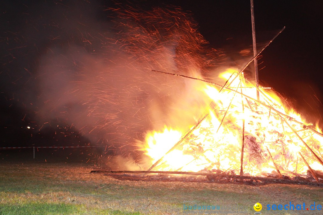 Funkenfeuer Fasnet - Ursaul bei Stockach am Bodensee, 09.03.2014