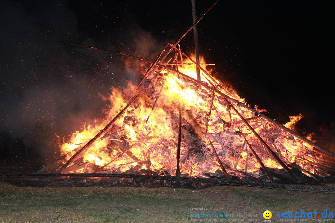 Funkenfeuer Fasnet - Ursaul bei Stockach am Bodensee, 09.03.2014