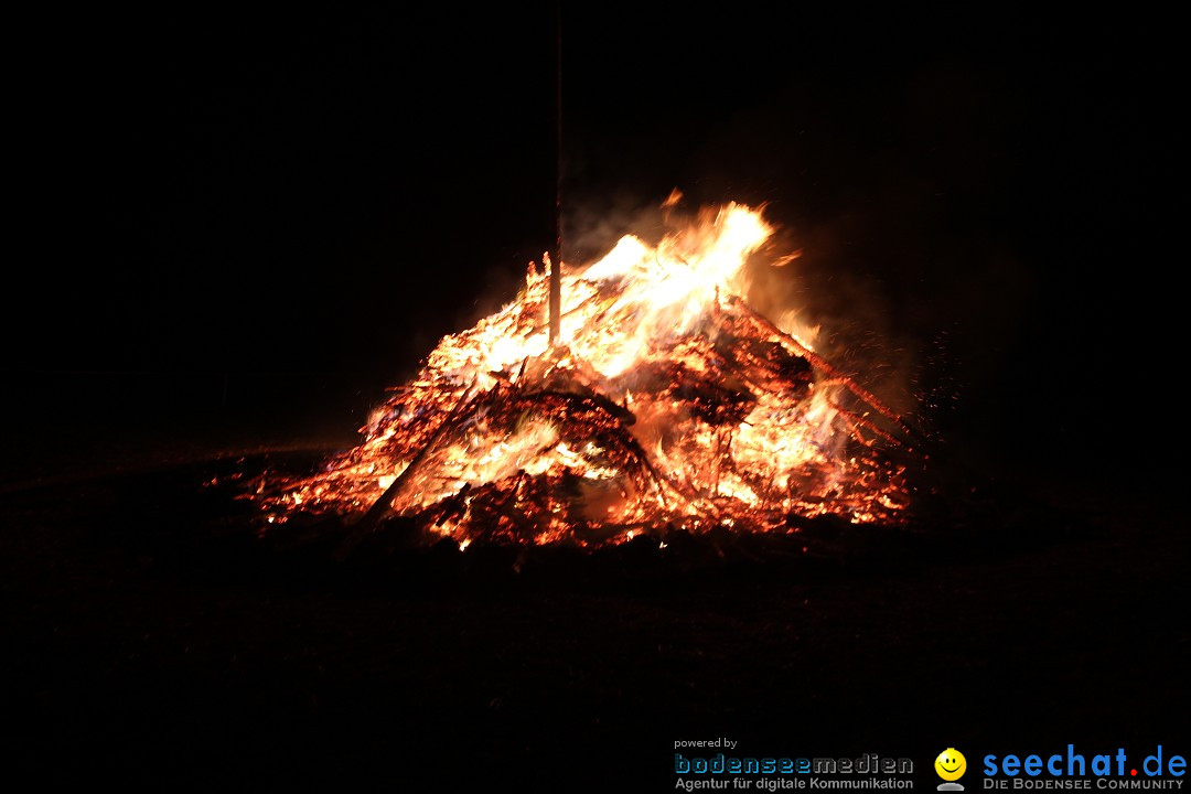 Funkenfeuer Fasnet - Ursaul bei Stockach am Bodensee, 09.03.2014