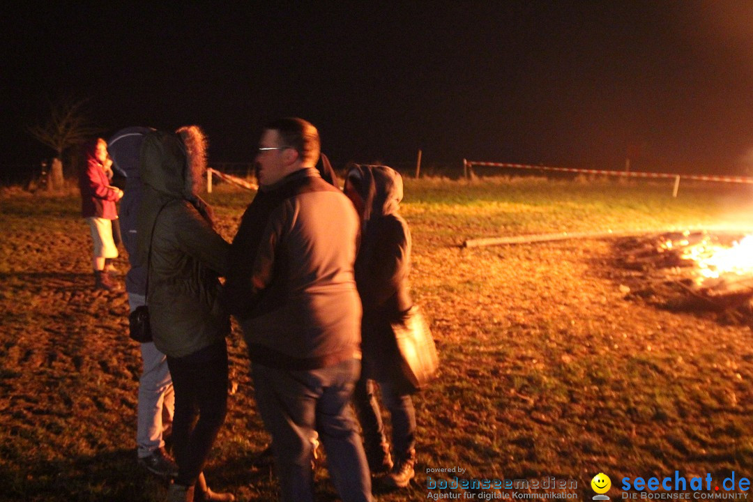 Funkenfeuer Fasnet - Ursaul bei Stockach am Bodensee, 09.03.2014