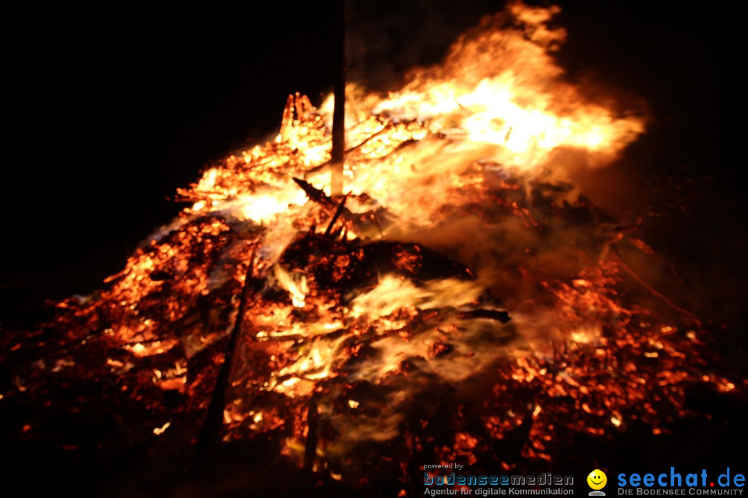 Funkenfeuer Fasnet - Ursaul bei Stockach am Bodensee, 09.03.2014