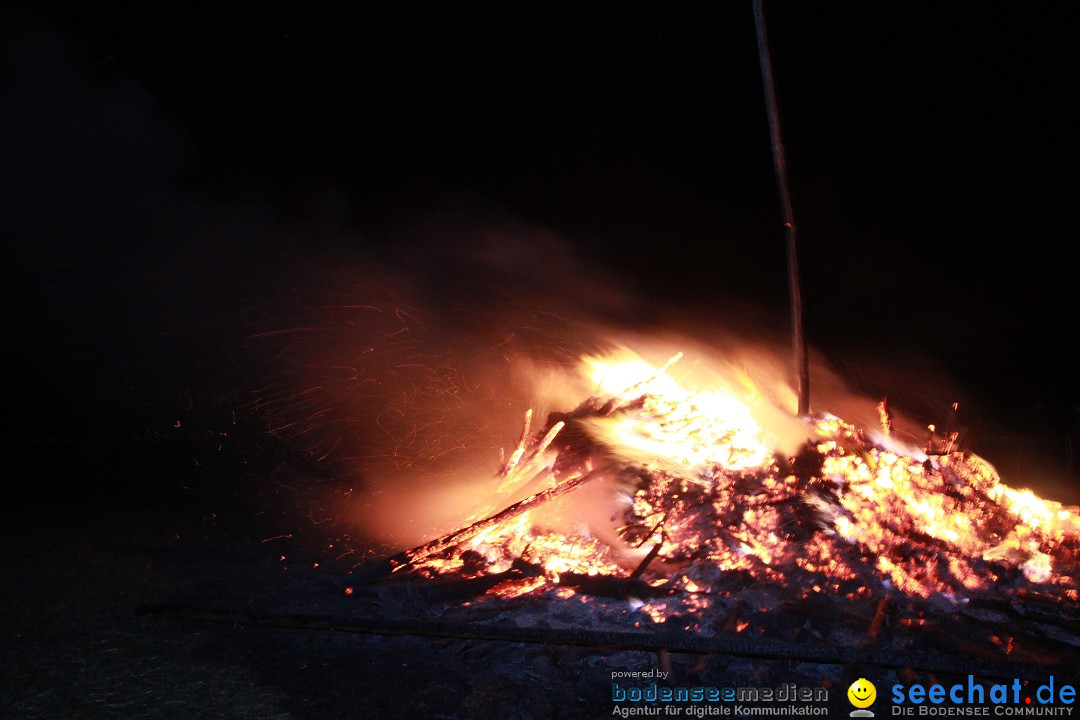 Funkenfeuer Fasnet - Ursaul bei Stockach am Bodensee, 09.03.2014