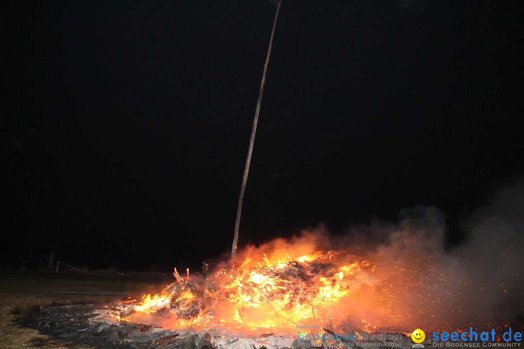 Funkenfeuer Fasnet - Ursaul bei Stockach am Bodensee, 09.03.2014