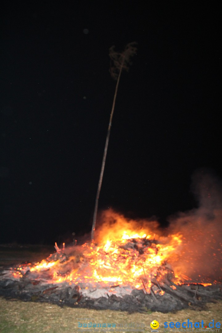 Funkenfeuer Fasnet - Ursaul bei Stockach am Bodensee, 09.03.2014