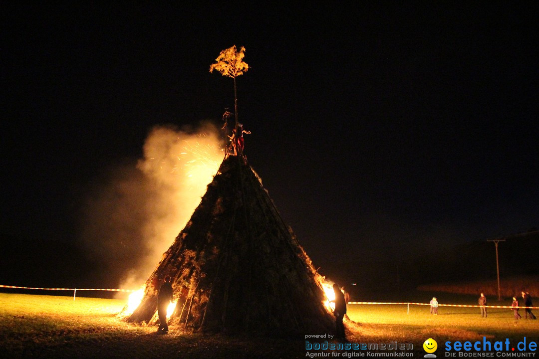 Funkenfeuer Fasnet - Ursaul bei Stockach am Bodensee, 09.03.2014