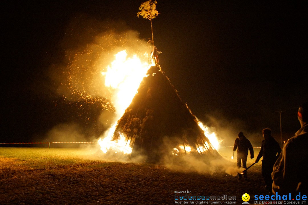 Funkenfeuer Fasnet - Ursaul bei Stockach am Bodensee, 09.03.2014