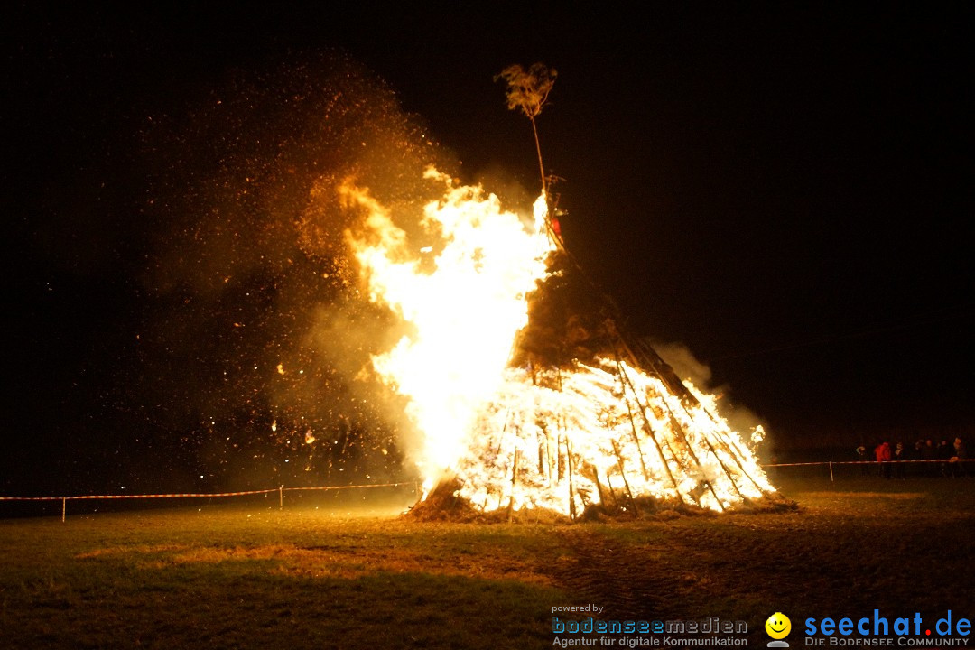 Funkenfeuer Fasnet - Ursaul bei Stockach am Bodensee, 09.03.2014