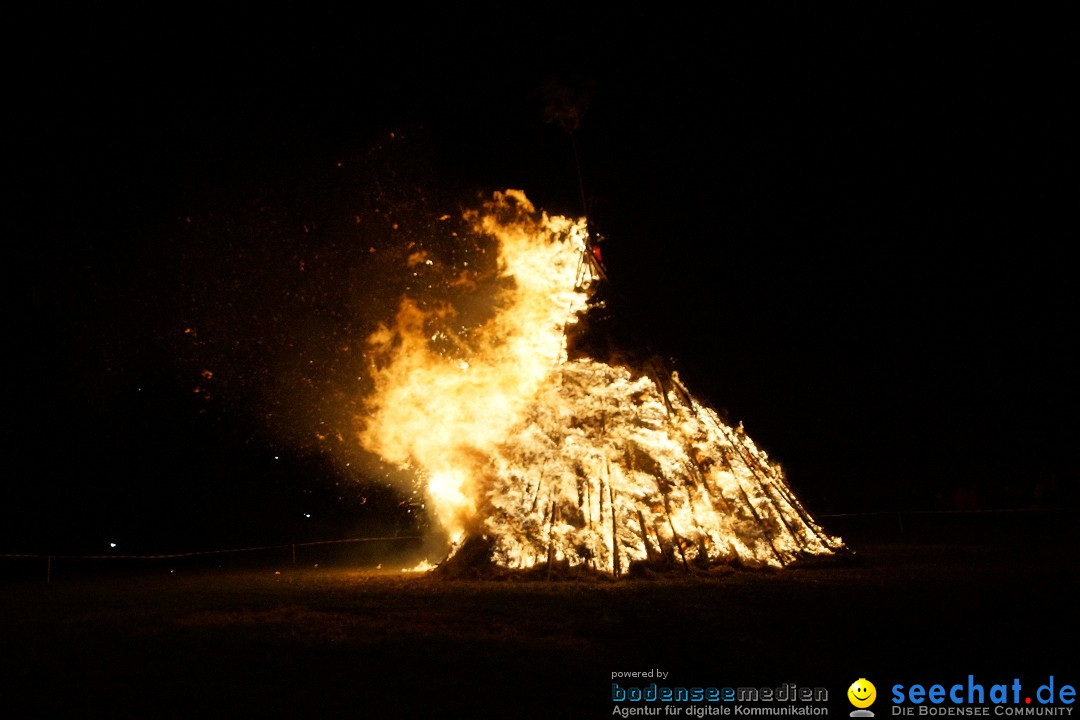 Funkenfeuer Fasnet - Ursaul bei Stockach am Bodensee, 09.03.2014