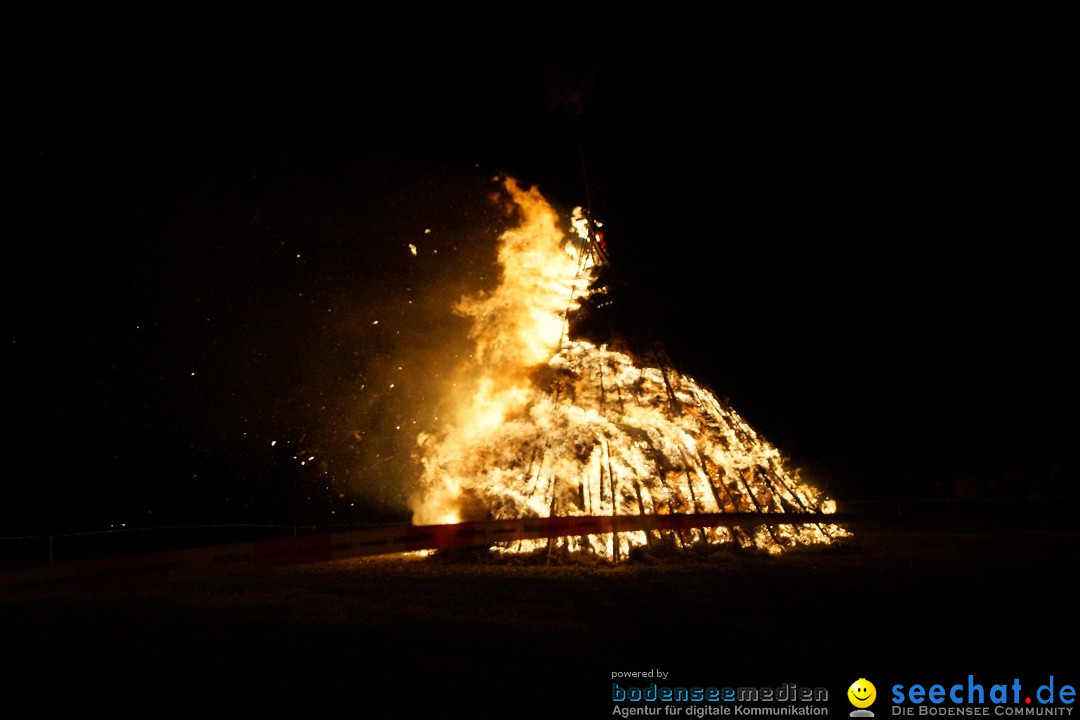 Funkenfeuer Fasnet - Ursaul bei Stockach am Bodensee, 09.03.2014