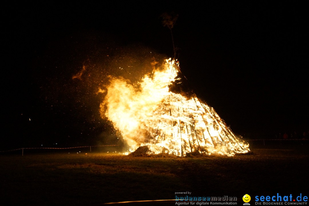 Funkenfeuer Fasnet - Ursaul bei Stockach am Bodensee, 09.03.2014