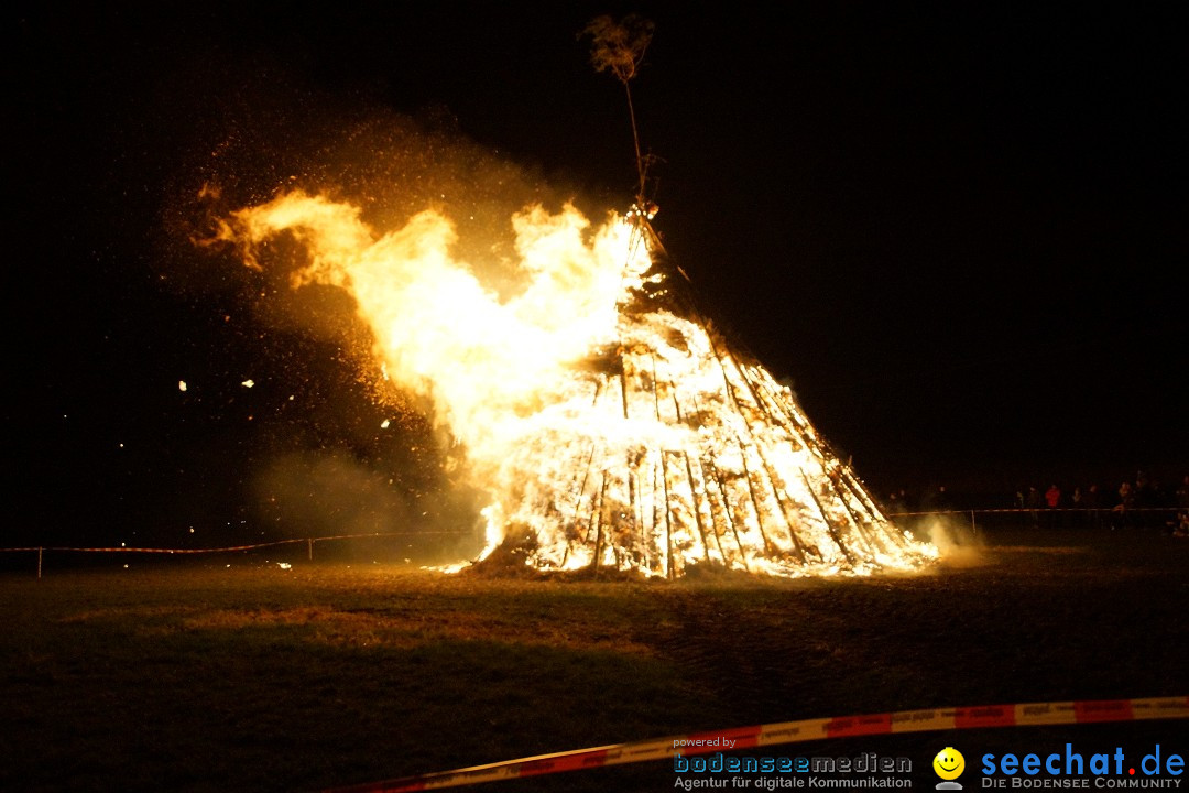 Funkenfeuer Fasnet - Ursaul bei Stockach am Bodensee, 09.03.2014