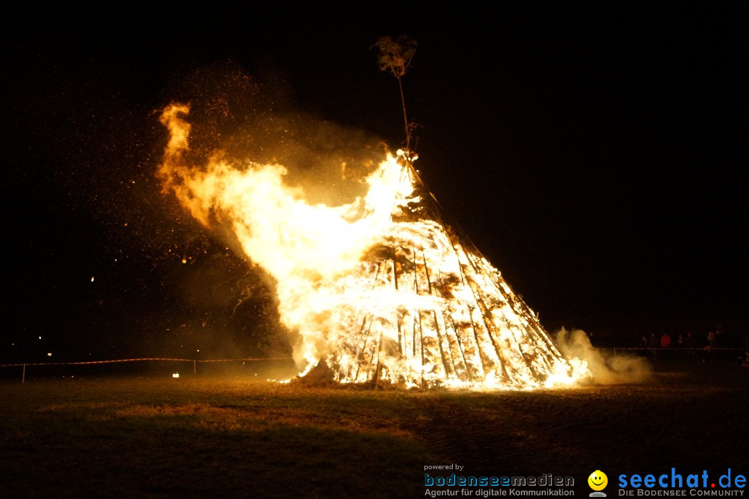 Funkenfeuer Fasnet - Ursaul bei Stockach am Bodensee, 09.03.2014