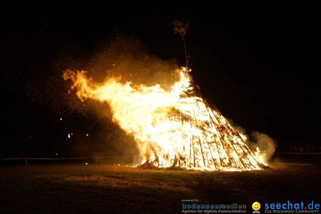 Funkenfeuer Fasnet - Ursaul bei Stockach am Bodensee, 09.03.2014