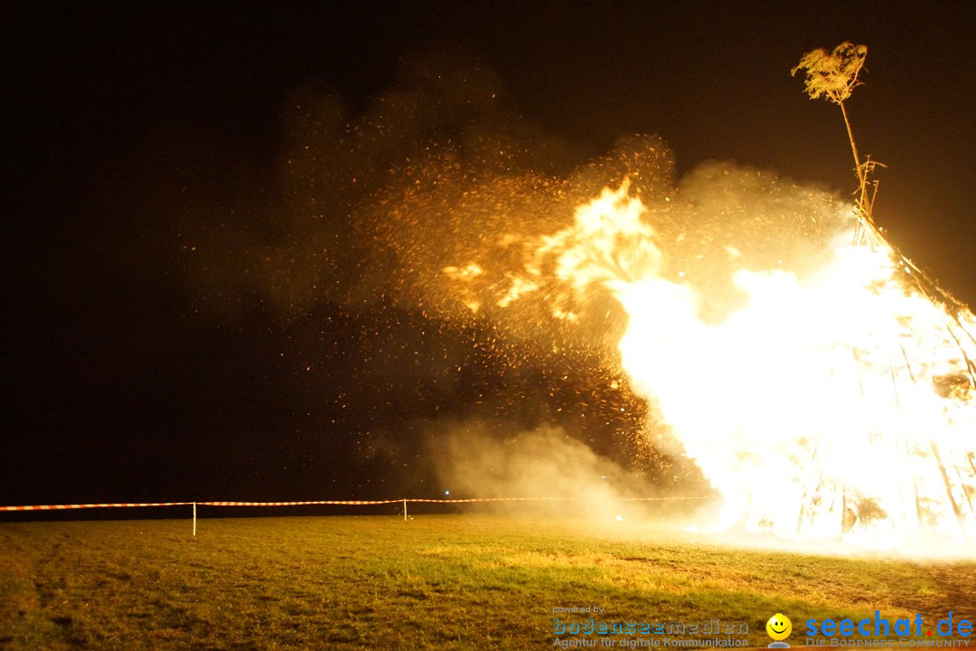 Funkenfeuer Fasnet - Ursaul bei Stockach am Bodensee, 09.03.2014