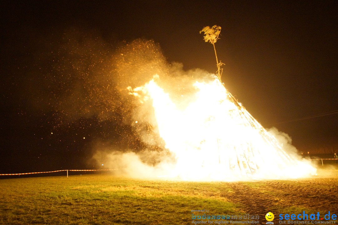 Funkenfeuer Fasnet - Ursaul bei Stockach am Bodensee, 09.03.2014