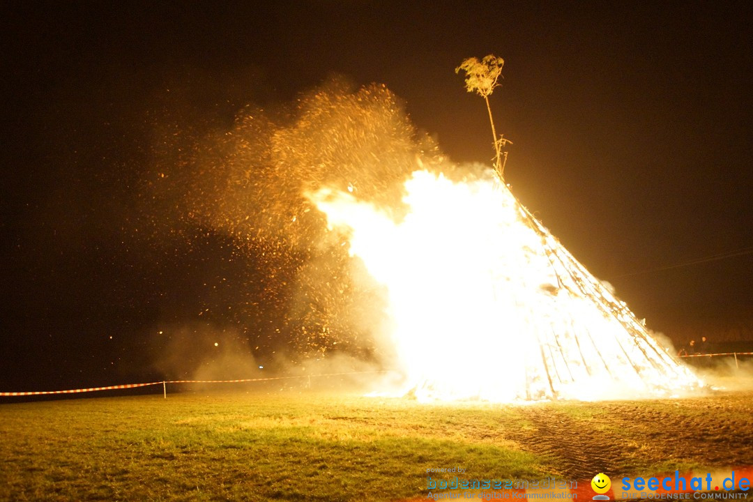 Funkenfeuer Fasnet - Ursaul bei Stockach am Bodensee, 09.03.2014