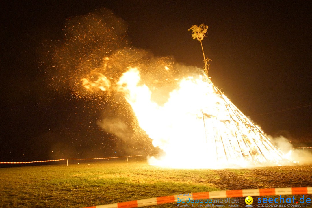 Funkenfeuer Fasnet - Ursaul bei Stockach am Bodensee, 09.03.2014