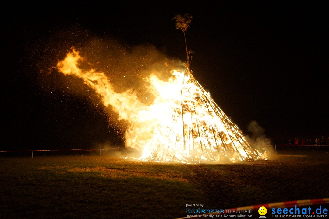 Funkenfeuer Fasnet - Ursaul bei Stockach am Bodensee, 09.03.2014