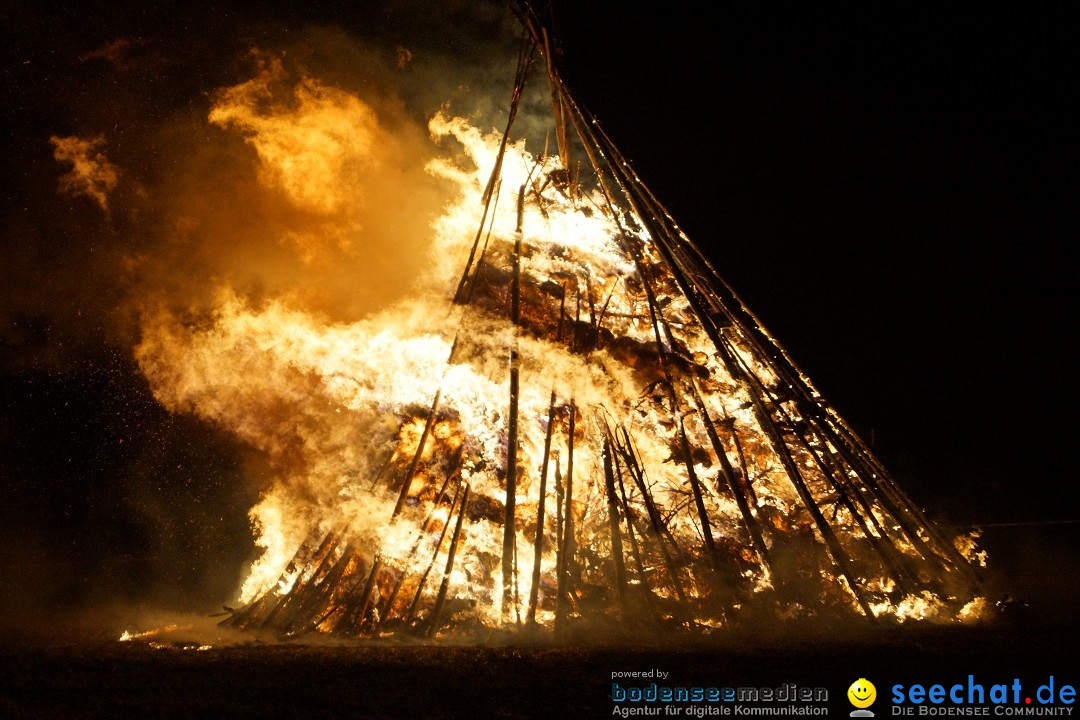 Funkenfeuer Fasnet - Ursaul bei Stockach am Bodensee, 09.03.2014