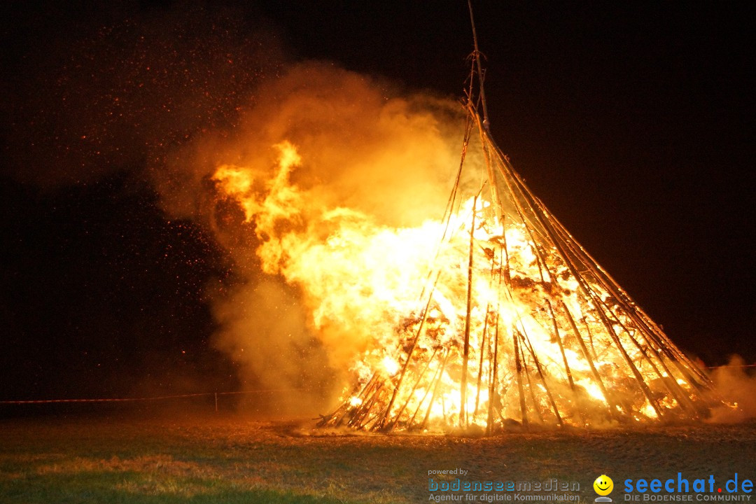 Funkenfeuer Fasnet - Ursaul bei Stockach am Bodensee, 09.03.2014