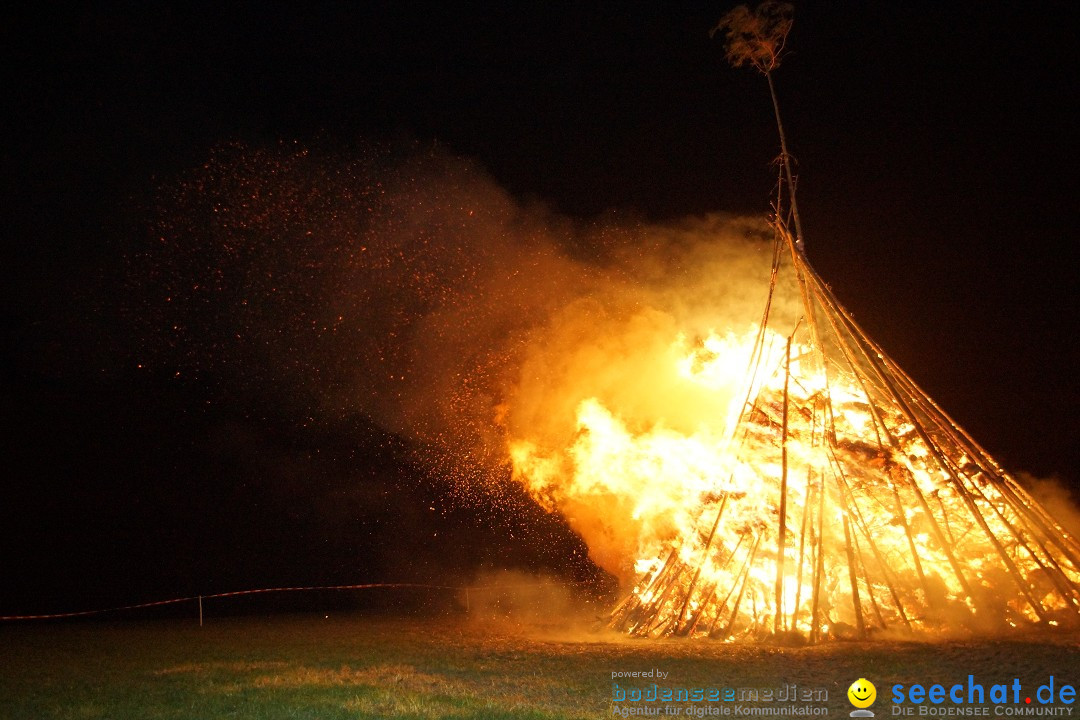 Funkenfeuer Fasnet - Ursaul bei Stockach am Bodensee, 09.03.2014