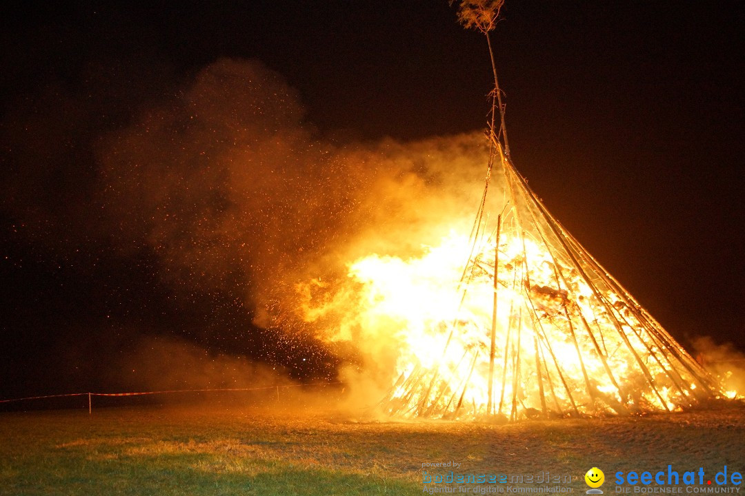 Funkenfeuer Fasnet - Ursaul bei Stockach am Bodensee, 09.03.2014