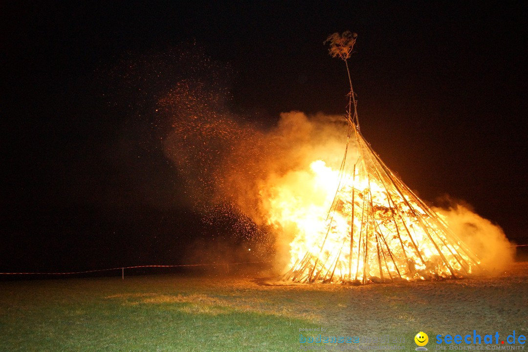 Funkenfeuer Fasnet - Ursaul bei Stockach am Bodensee, 09.03.2014