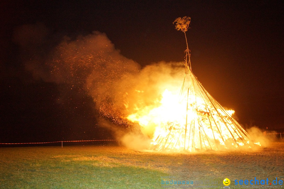 Funkenfeuer Fasnet - Ursaul bei Stockach am Bodensee, 09.03.2014