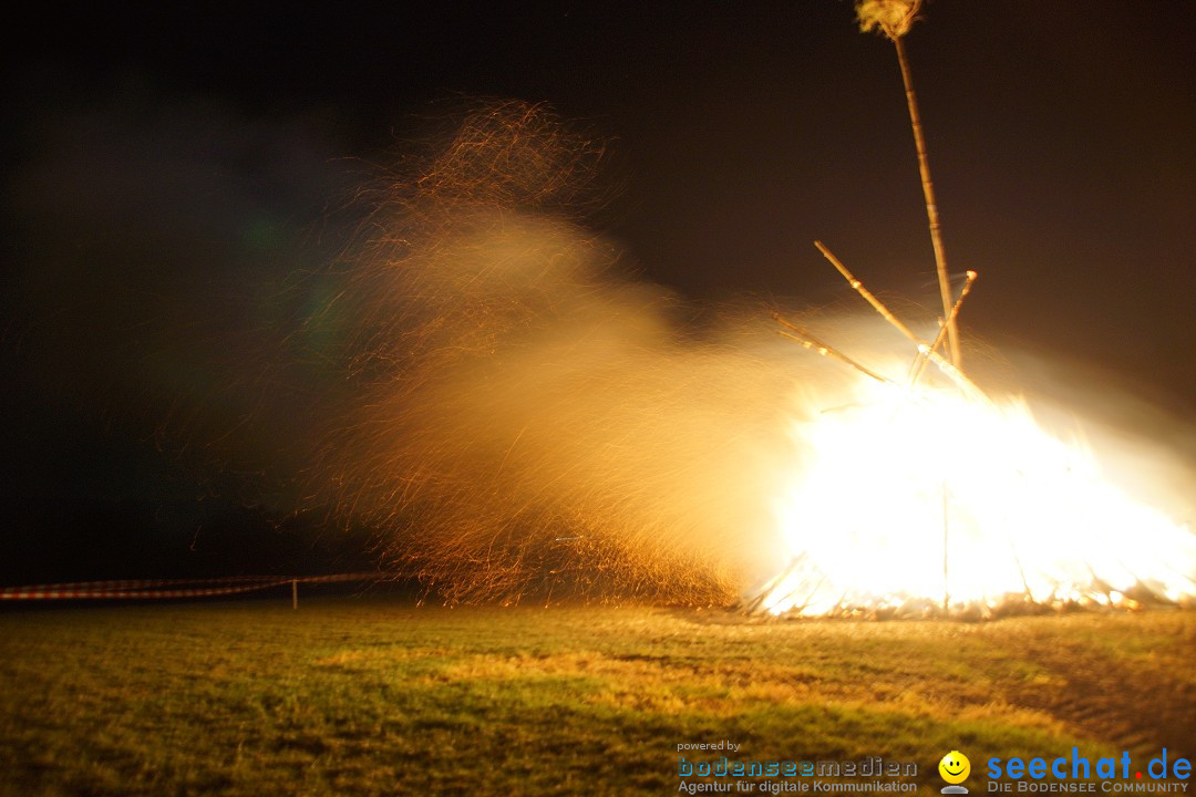 Funkenfeuer Fasnet - Ursaul bei Stockach am Bodensee, 09.03.2014