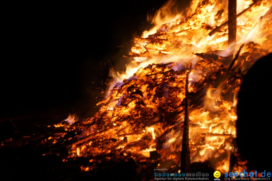 Funkenfeuer Fasnet - Ursaul bei Stockach am Bodensee, 09.03.2014