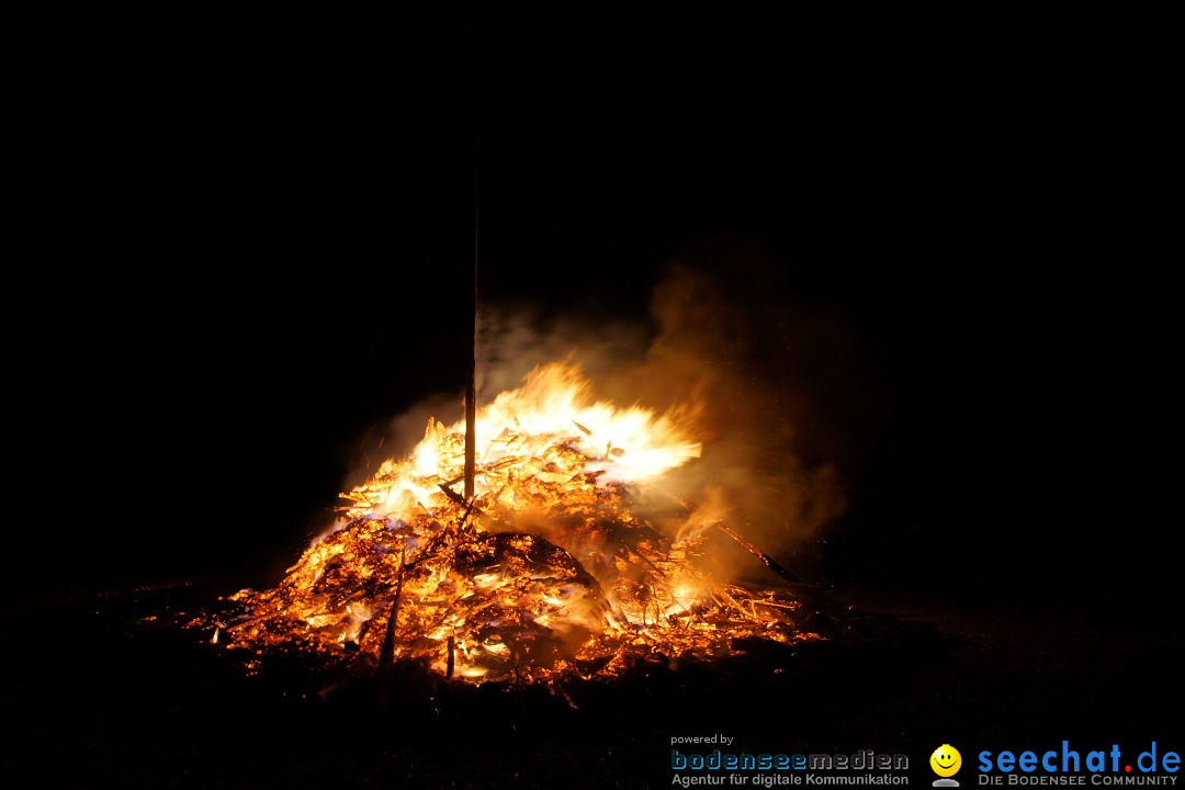 Funkenfeuer Fasnet - Ursaul bei Stockach am Bodensee, 09.03.2014